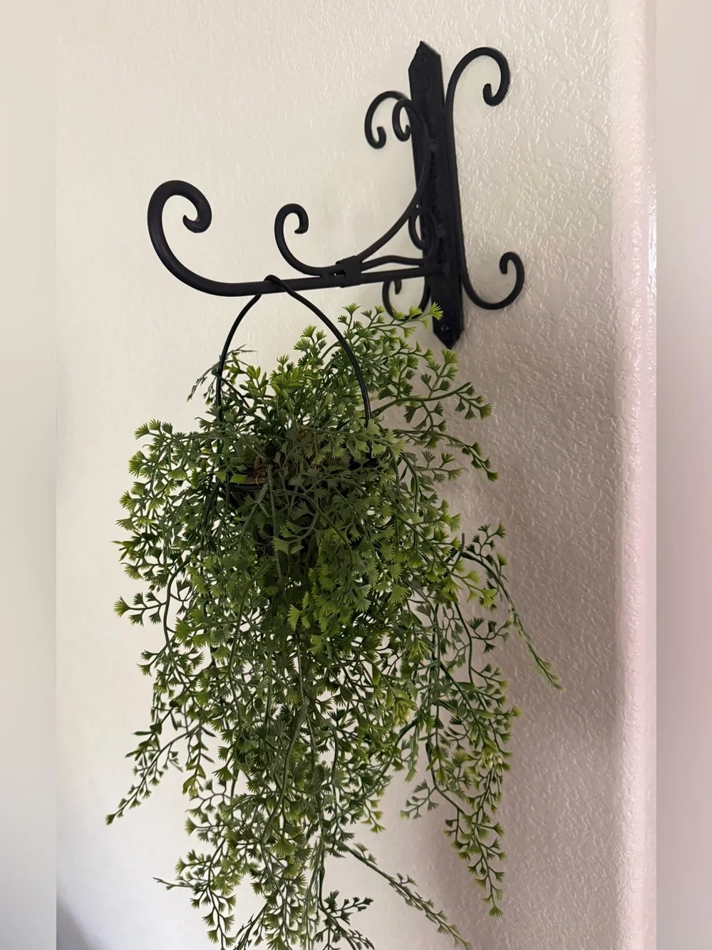 Decorative Black Wrought Iron Wall Hook Pair